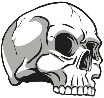 AR24 SKULL 10 RQC